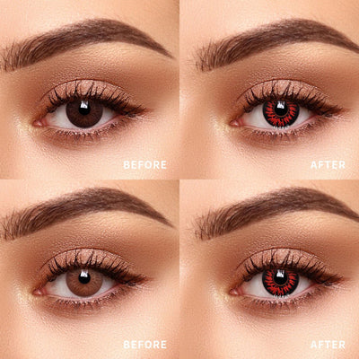 TTDeye Bloodlust Red | 1 Year