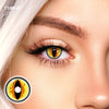 TTDeye Golden Mirage Yellow | 1 Year