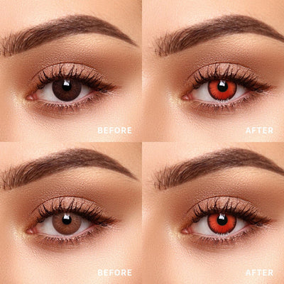 TTDeye Icy Petal Red | 1 Year