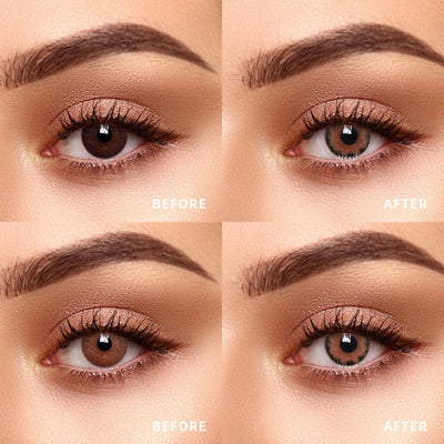 TTDeye Comet Brown | 1 Year