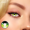 TTDeye Gemini | 1 Year