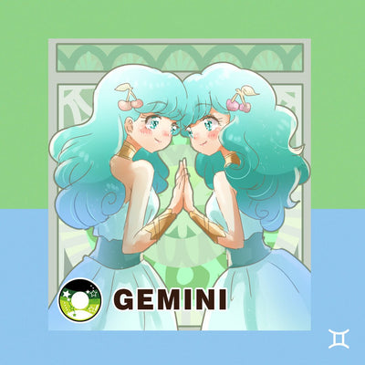 TTDeye Gemini | 1 Year