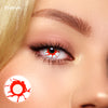 TTDeye Reddish Dream | 1 Year