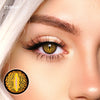 TTDeye Gecko Eye Brown | 1 Year