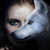 TTDeye Black Wolf | 1 Year
