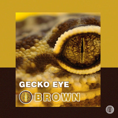 TTDeye Gecko Eye Brown | 1 Year