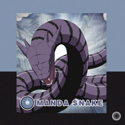 TTDeye Manda Snake | 1 Year